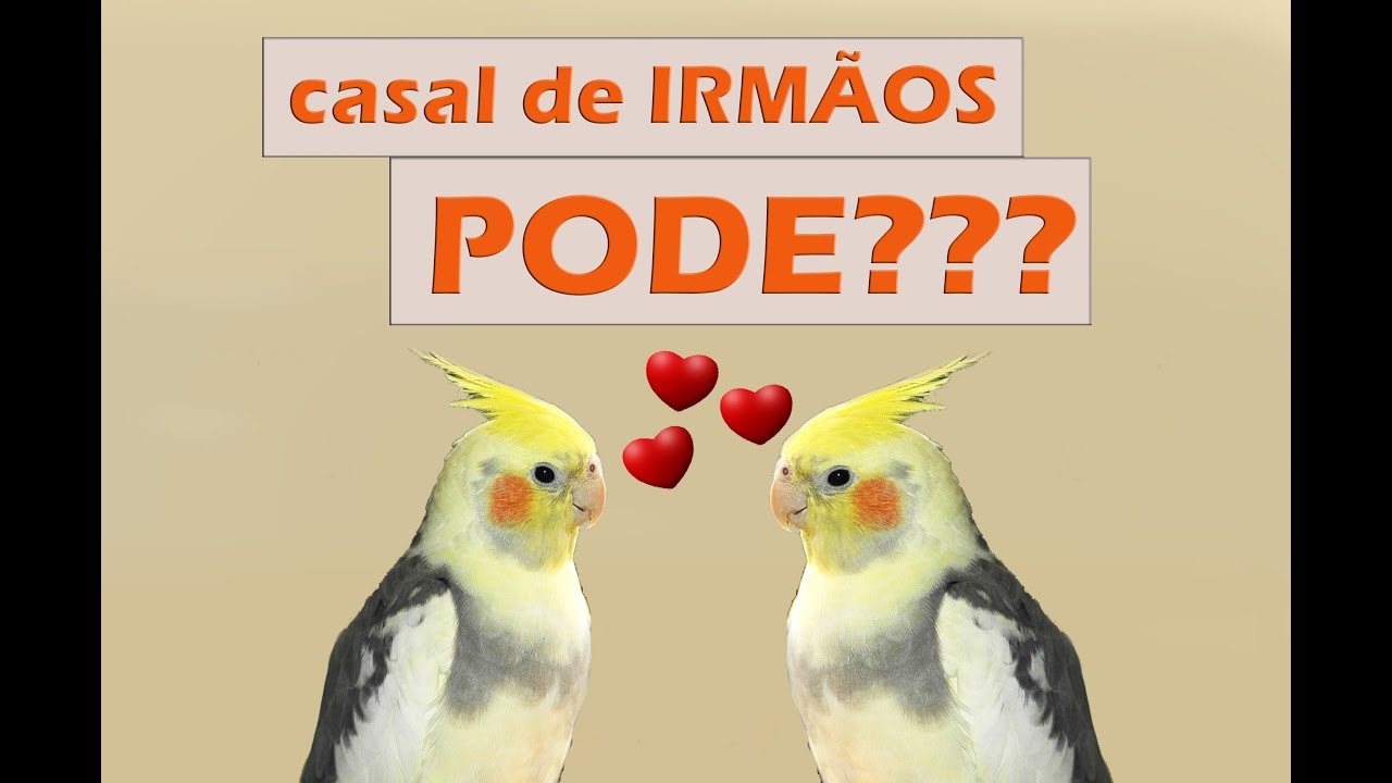 Posso formar um casal de parentes???