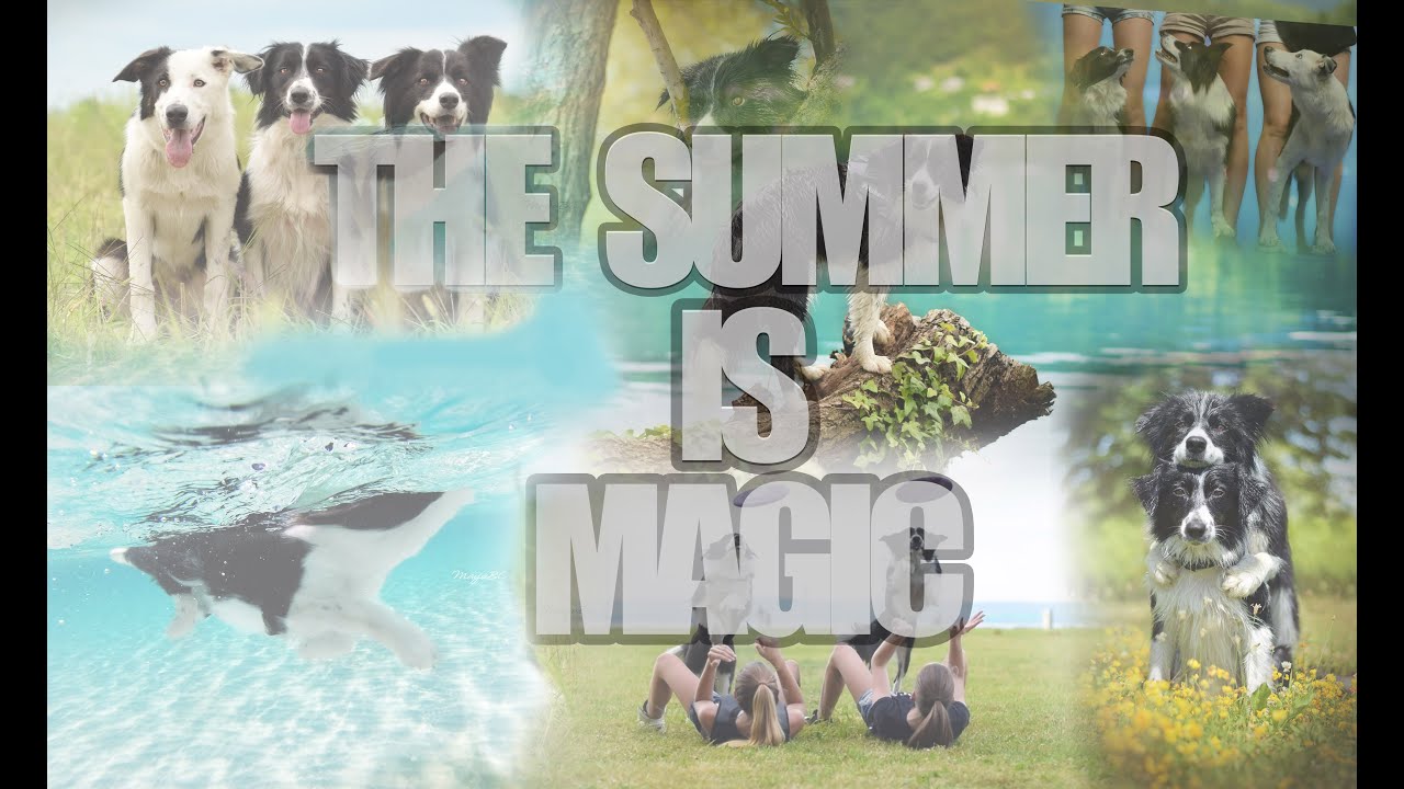THE SUMMER IS MAGIC | Summer 2016♥