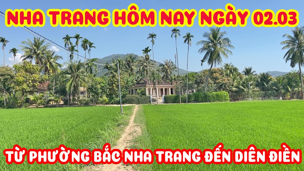 NHA TRANG HÔM NAY NGÀY 02.03 NẮNG RỰC RỠ - TỪ VĨNH PHƯƠNG ĐẾN NHỮNG CON ĐƯỜNG MỚI DIÊN PHÚ