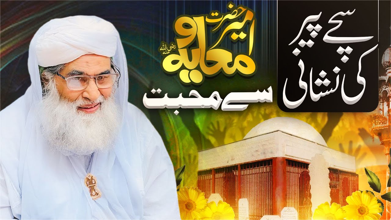 Har Sahabi E Nabi Janati | Shan e Muavia | Sahaba o Ahl e Bait | Maulana Ilyas Qadri Emotional Bayan