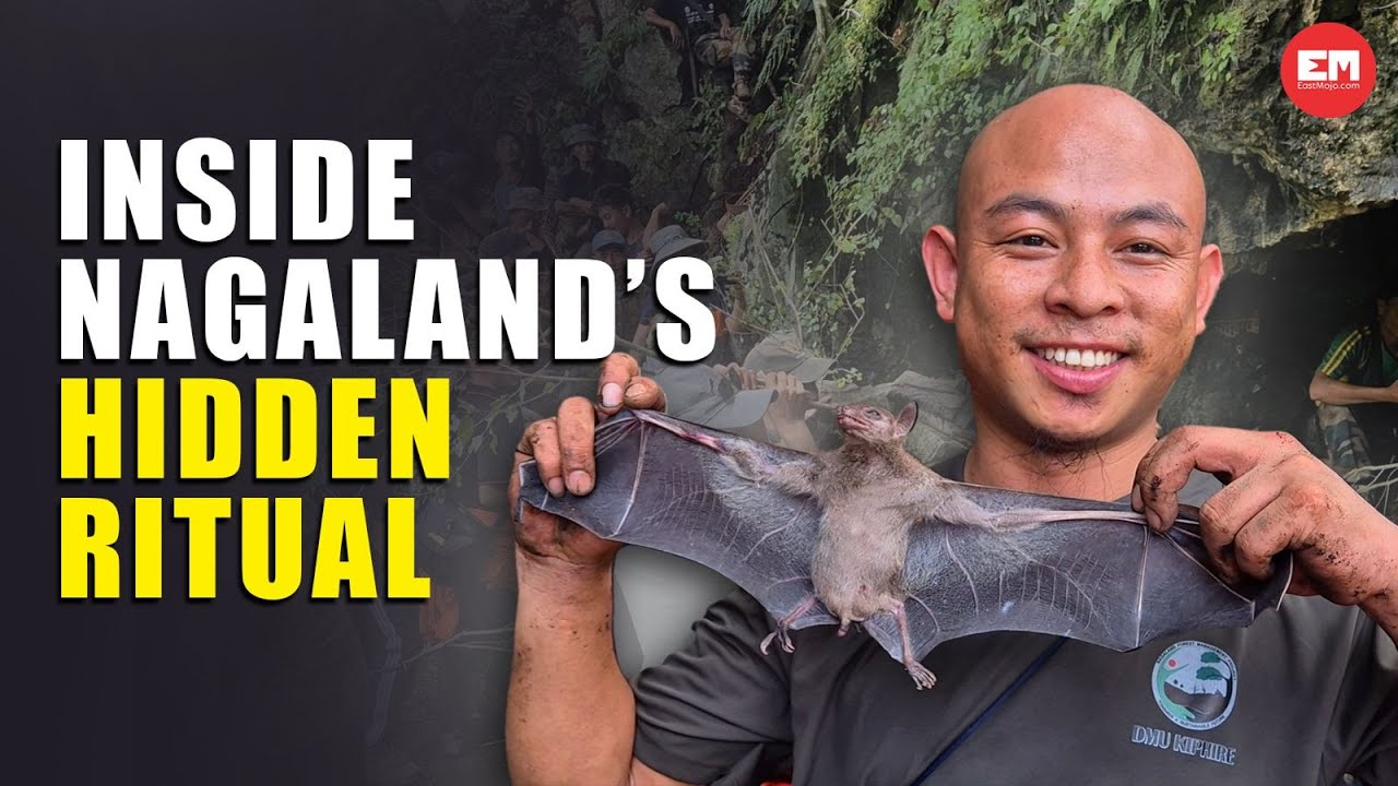 Preserving tradition: Why bats are harvested and eaten in this Naga village