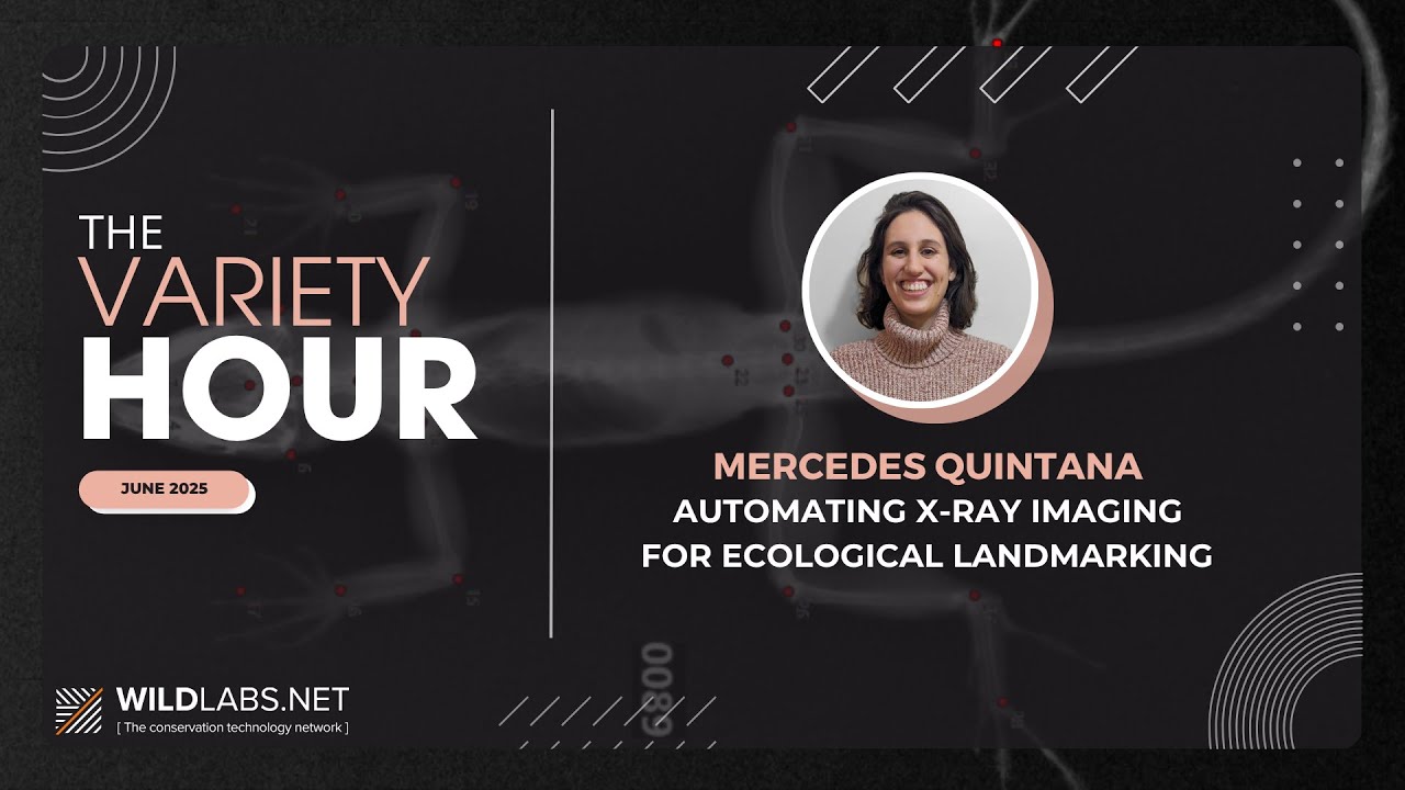 Mercedes Quintana: Automating X-Ray Imaging for Ecological Landmarking