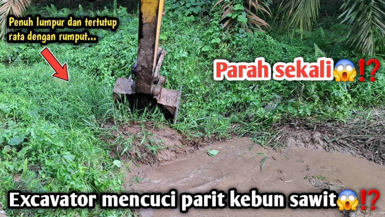 Parah sekali😱⁉️Excavator membersihkan parit kebun sawit‼️Penuh lumpur dan tertutup rata oleh rumput
