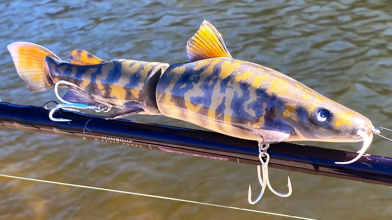 Making a FlatHead CatFish SwimBait