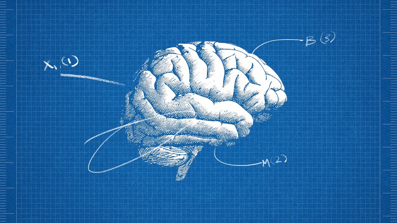 Training Neuro Sensoriel : Présentation