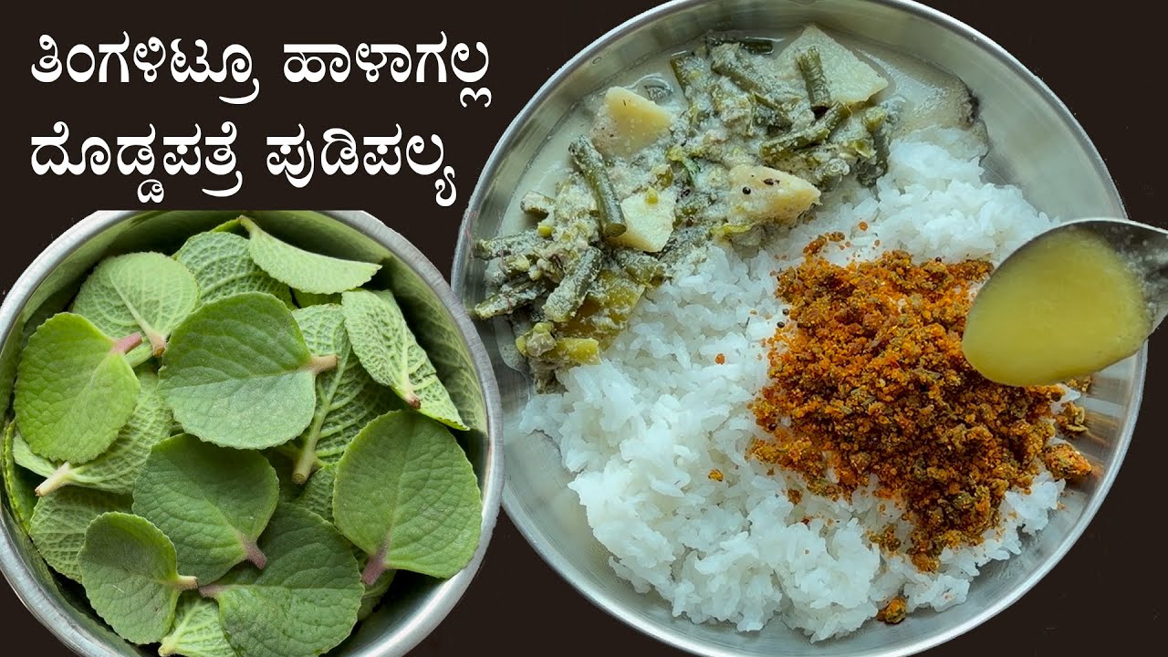 ಅದ್ಭುತ ರುಚಿಯ ದೊಡ್ಡಪತ್ರೆ ಪುಡಿ ಪಲ್ಯ; ತಿಂಗಳಿಟ್ಟರೂ ಹಾಳಾಗಲ್ಲ | Doddapatre pudi palya recipe Kannada