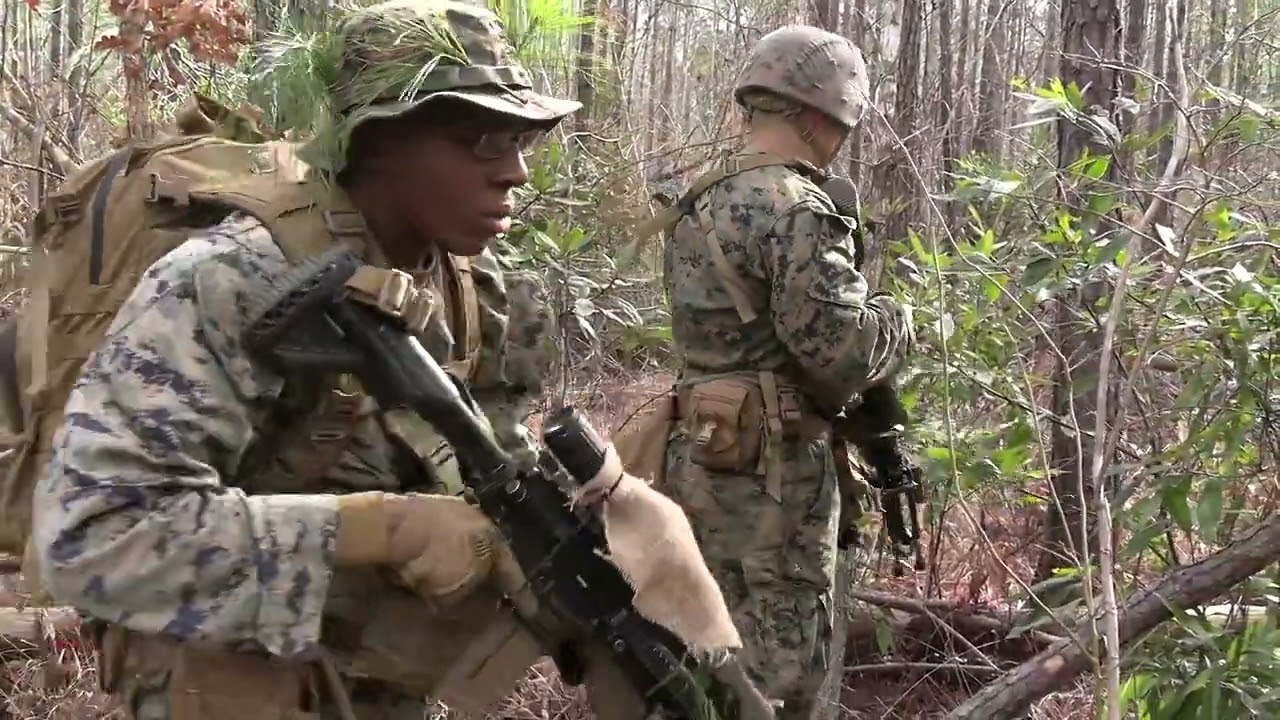 U.S. Marines with 2d LAR Scout School B-Roll