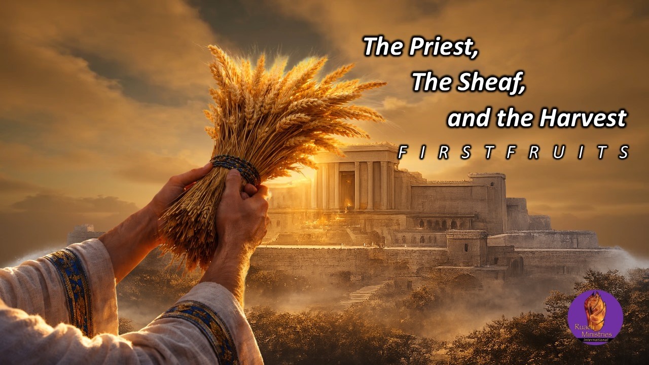 Firstfruits: The Sheaf, the Priest, and the Harvest