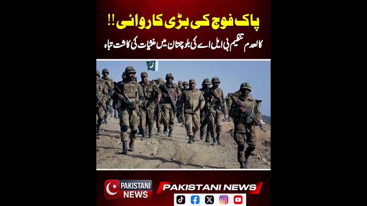Anti-Narcotics Operation in Jhal Magsi: Illegal Drug Crops Destroyed, Solar Tube Wells Seized