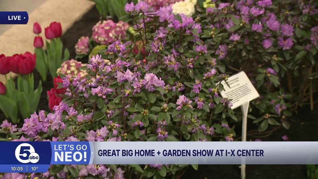 Great Big Home and Garden Show kicks off at I-X Center