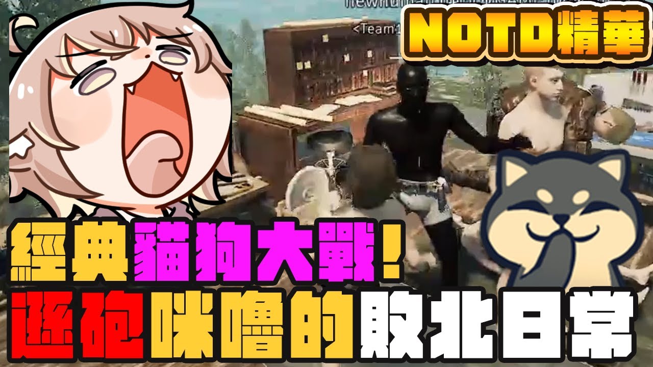 【杏仁ミル精華】經典貓狗大戰！遜砲咪嚕的敗北日常 ft. @JGamersTW @niconini11369 @Ubye