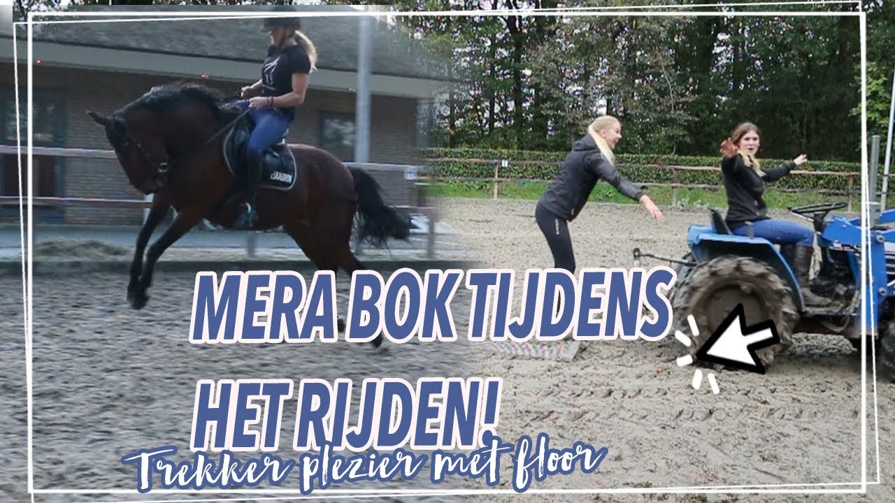 10 PAARDEN RIJDEN + NIEUWE PAARDEN VOORSTELLEN ||Vlog