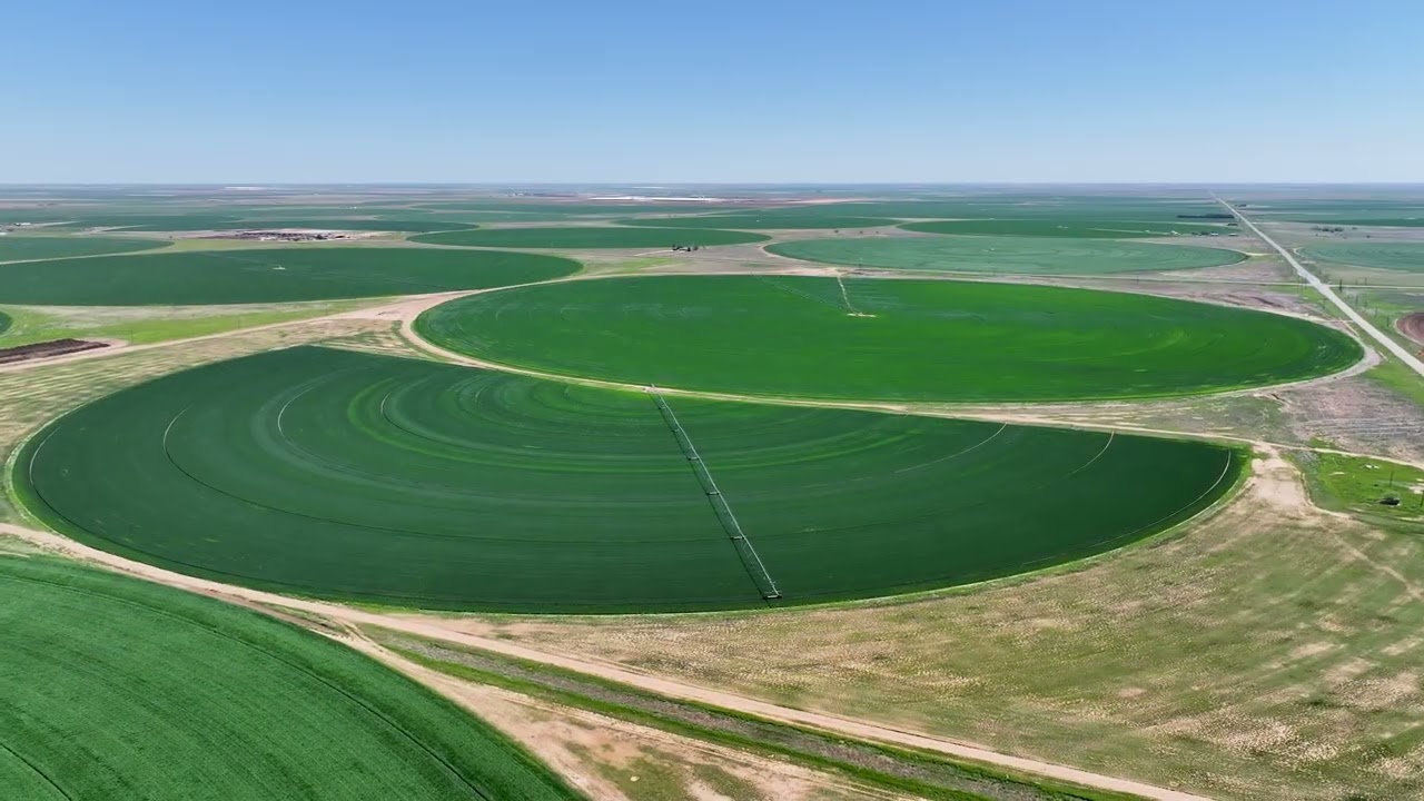 Busby Farms ±1,693.16 Acre FM 145 | Sunnyside Real Estate