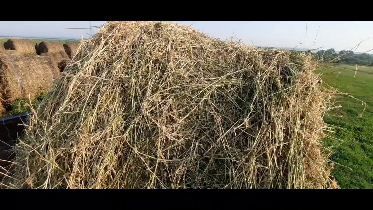 CE AM PĂȚIT   ( hoți  mi-au  furat baloti)🕵️‍♂️🕵️‍♂️🕵️‍♂️👮‍♂️👮‍♂️