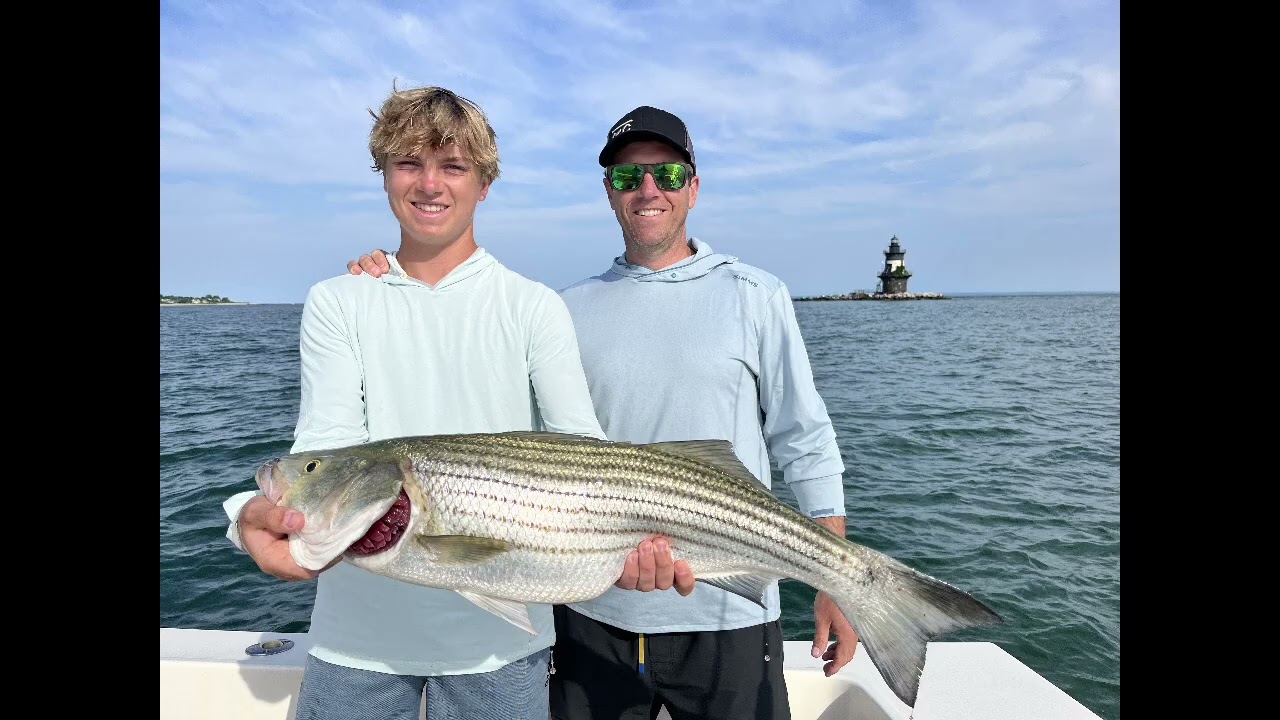 2025 Spring Inspiration Video