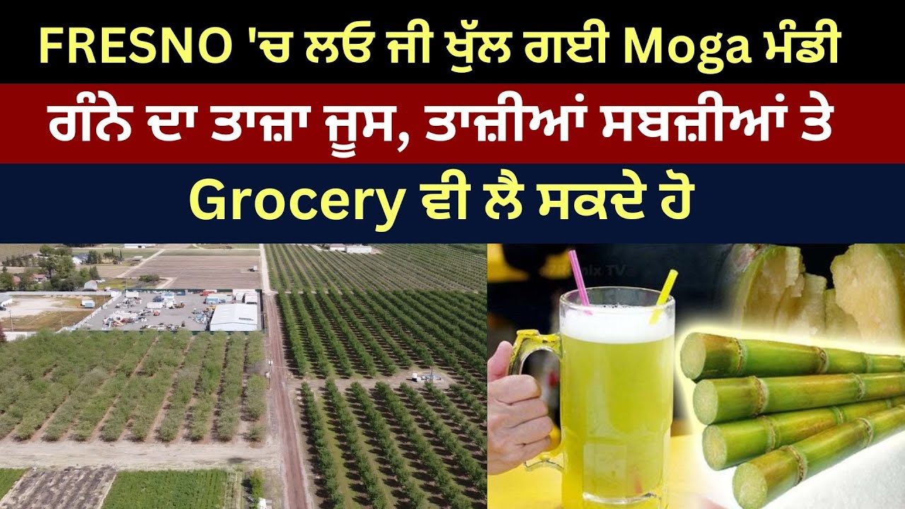 Fresno 'ਚ ਲਓ ਜੀ ਖੁੱਲ ਗਈ Moga Mandi , ਗੰਨੇ ਦਾ ਤਾਜ਼ਾ ਜੂਸ, ਤਾਜ਼ੀਆਂ ਸਬਜ਼ੀਆਂ ਤੇ Grocery ਵੀ ਲੈ ਸਕਦੇ ਹੋ