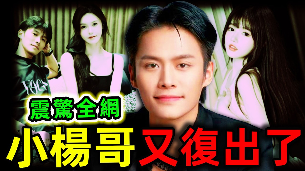 中國網紅最可怕的8個恐怖秘密！“瘋狂小楊哥”再次復出？500萬女主播被潛坐牢！一口氣看完三隻羊事件最新真相。|#世界之最top #世界之最 #環球之最 #腦洞大開 #top10 #小楊哥 #驚人秘密