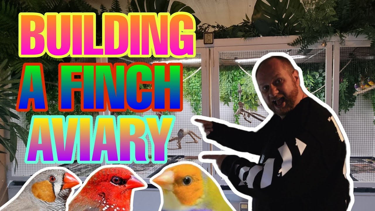 Building a Finch aviary - how I built an indoor aviary for my Finches