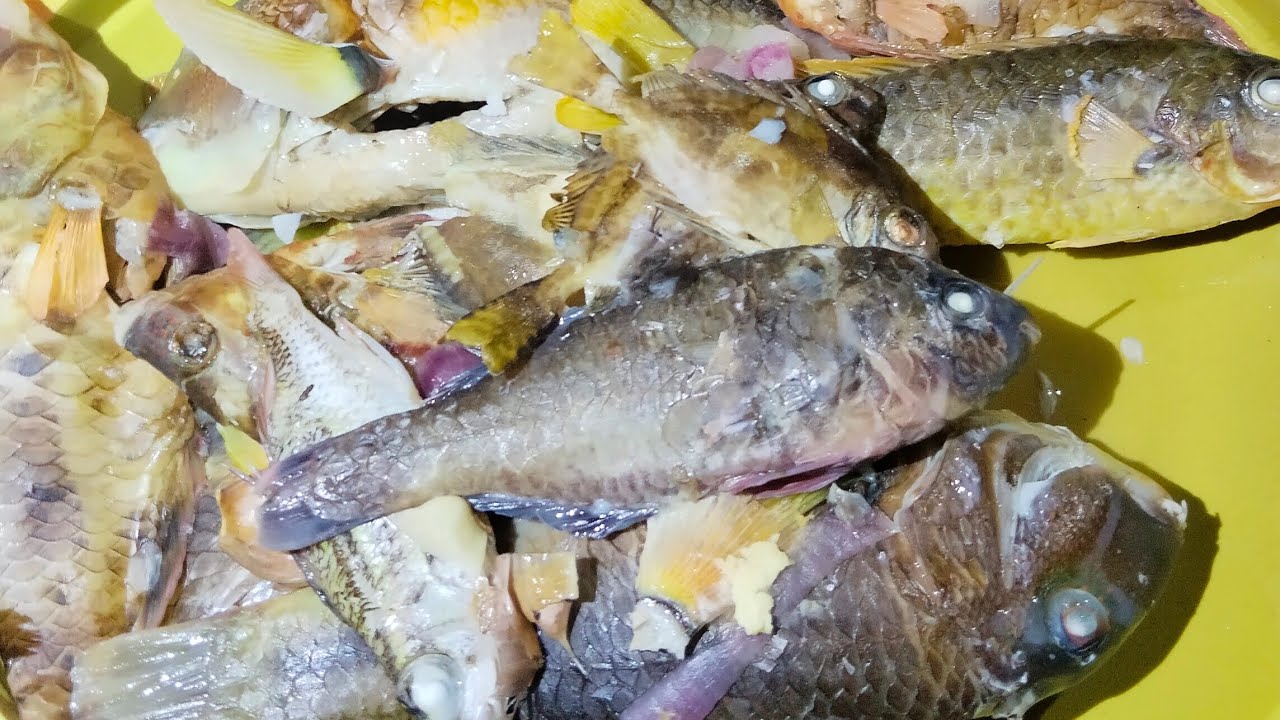 Kininga Tirada lods walapod ta nag mahay klasi-klasi pod atong nakuha og nag foodtrip podta😲‼️👍 