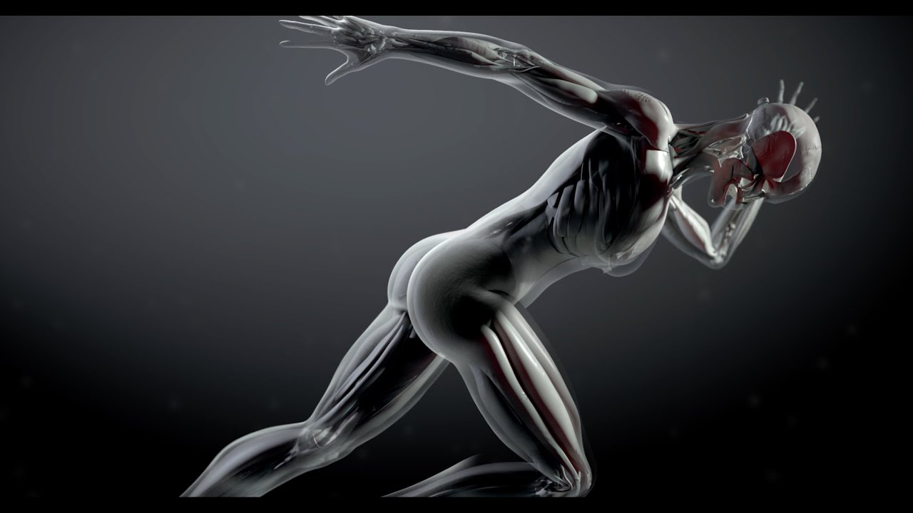 Lunch Hour Lectures: Virtual Humans, Supercomputers and Health