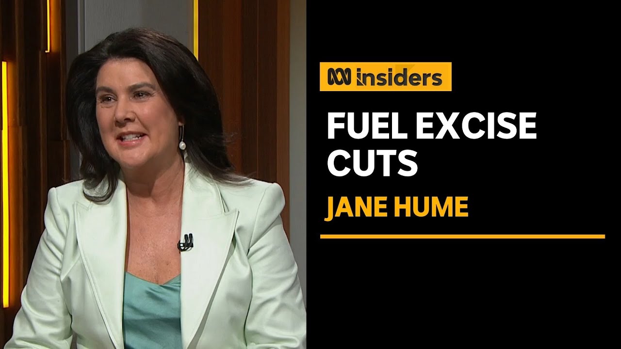 Liberal Senator on the fuel excise cut, &ldquo;We don&rsquo;t have policies&rdquo; | Insiders | ABC News