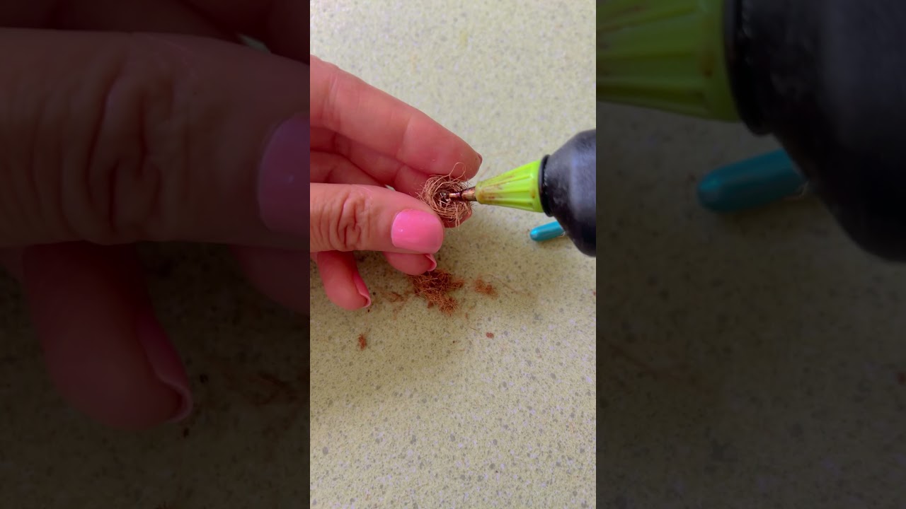 🪺 Miniature Nest with EGGS 🪺 #fairygarden #howto #dollhouse #nest #artshorts #dollhouseminiatures