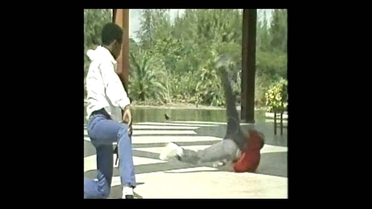 WILFRIDO VARGAS- EL JARDINERO