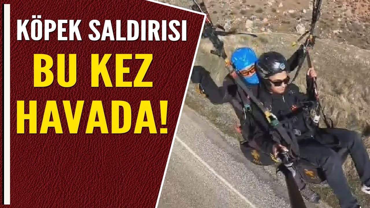 KÖPEK SALDIRISI BU KEZ HAVADA!