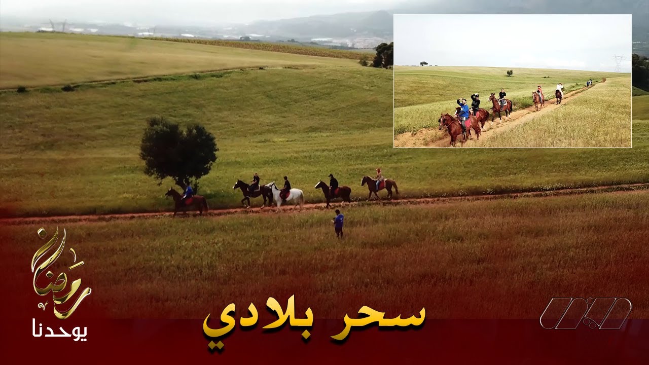 فريق البرنامج على ظهور الخيول لاستكشاف الطبيعة الخلابة بـ تيبازة ... شاهدوا سحر بلادنا