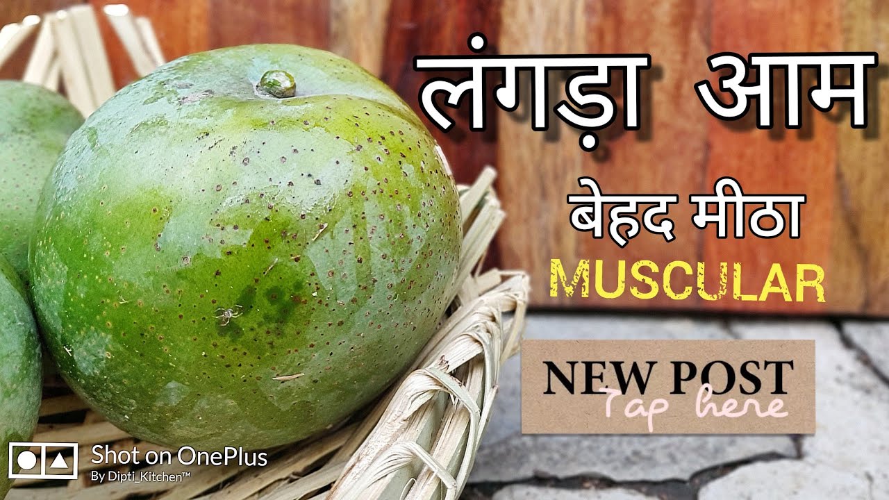 लंगड़ा आम मीठा स्वादिष्ट #langda #mango #langra #mangoplant #लंगड़ा #आम #mangofarm #mangofarming