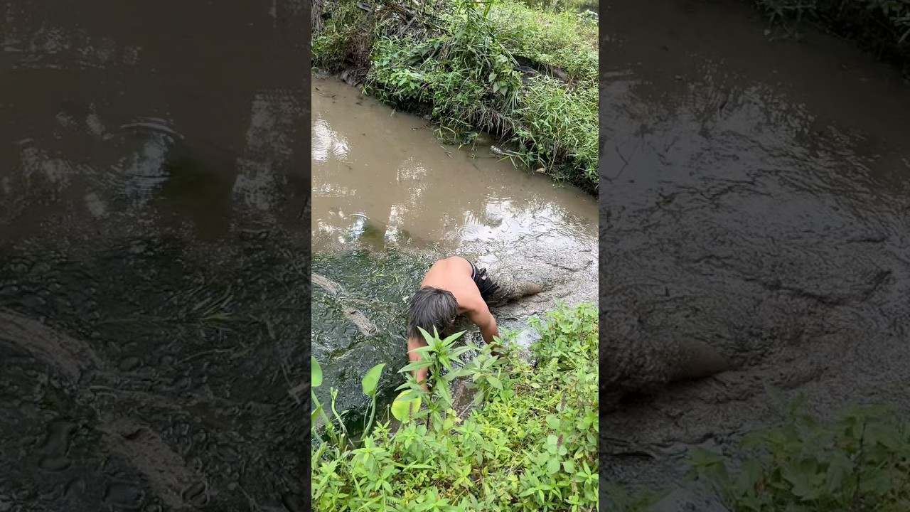 Nguras kolam yang udah 2 tahun gak di bersihkan - Hasilnya bikin kaget‼️😱#nguraskolam #panenikan