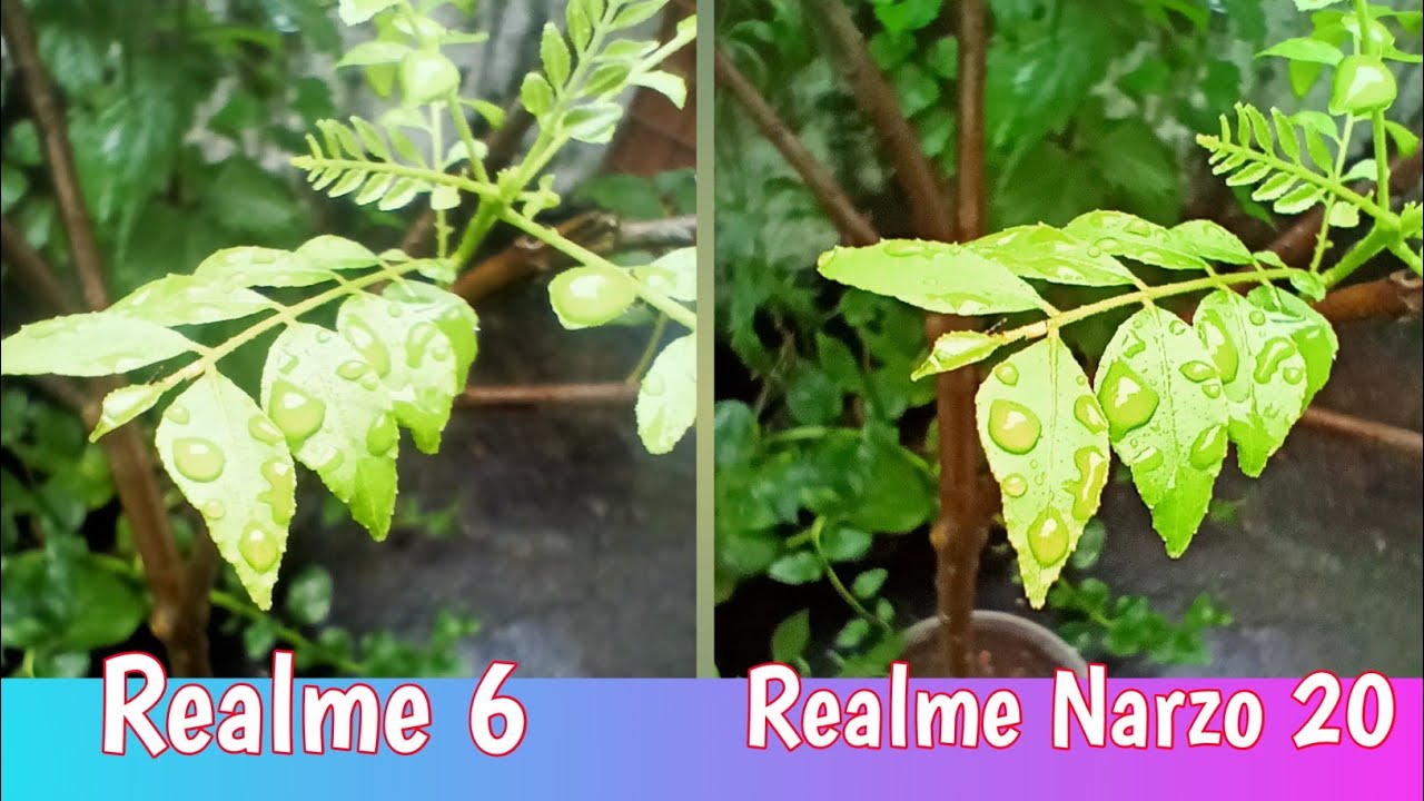 realme Narzo 20 Vs realme 6 Camera Test 📷
