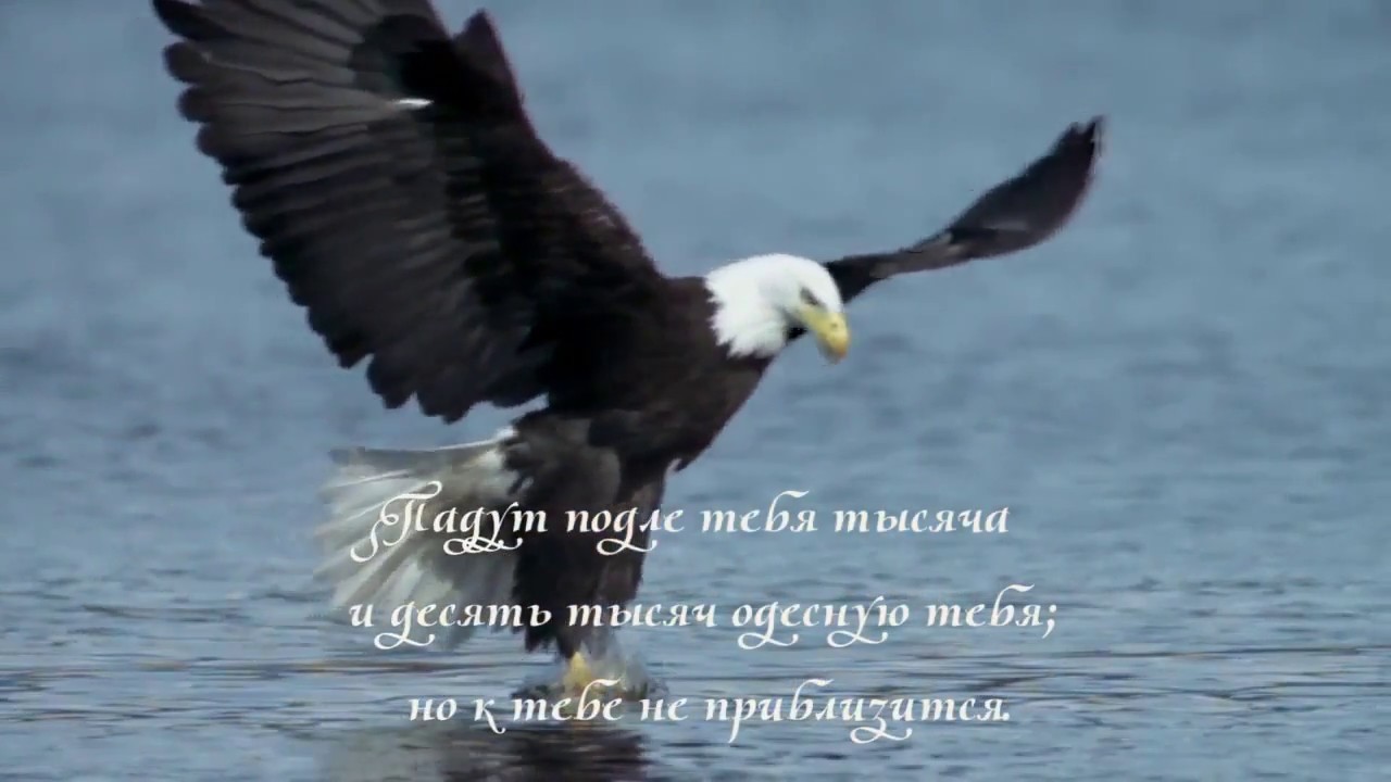 Псалом 90. Живущий под кровом Всевышнего под сенью Всемогущего покоится