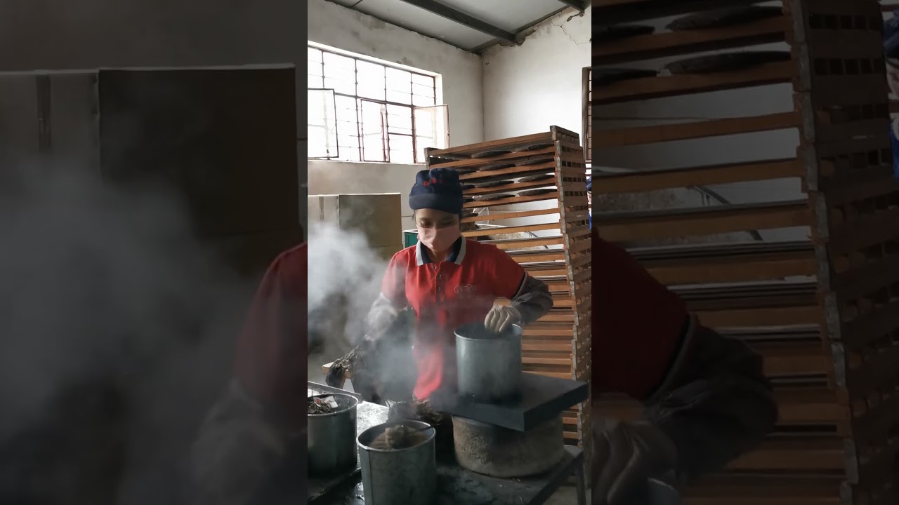 易武普洱茶，高山寨普洱茶的壓製過程！ #普洱茶 #尋茶記 #古樹茶 #中樂號 #易武