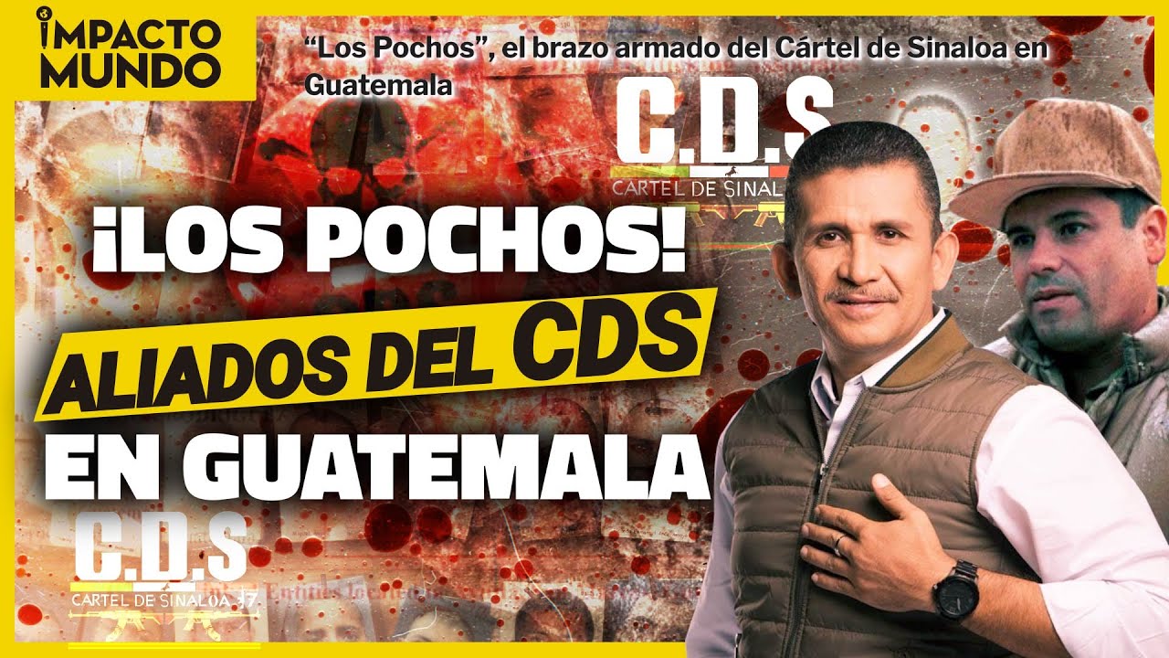 ¡ENEMIGOS de LOS ZETAS! Los POCHOS de GUATEMALA son ALIADOS del CÁRTEL de SINALOA I Impacto Mundo