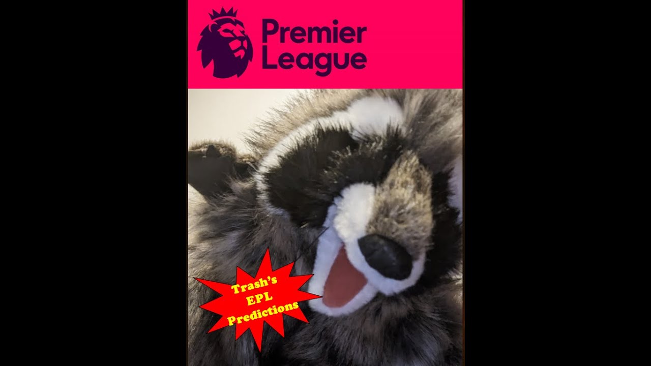 Trash&rsquo;s English Premiere League Predictions for week 36!