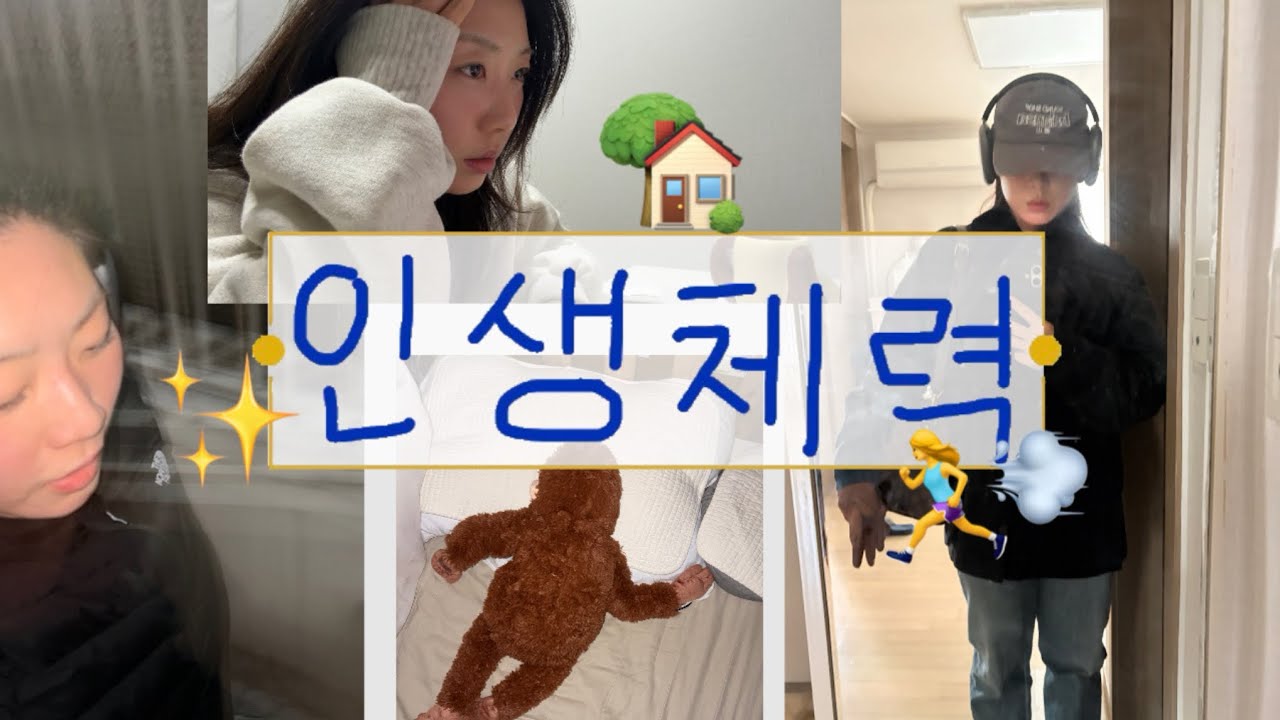 성장일기 | 30대의 인생 체력 키우기, 우당탕탕 내 집 마련, AI 공부하기