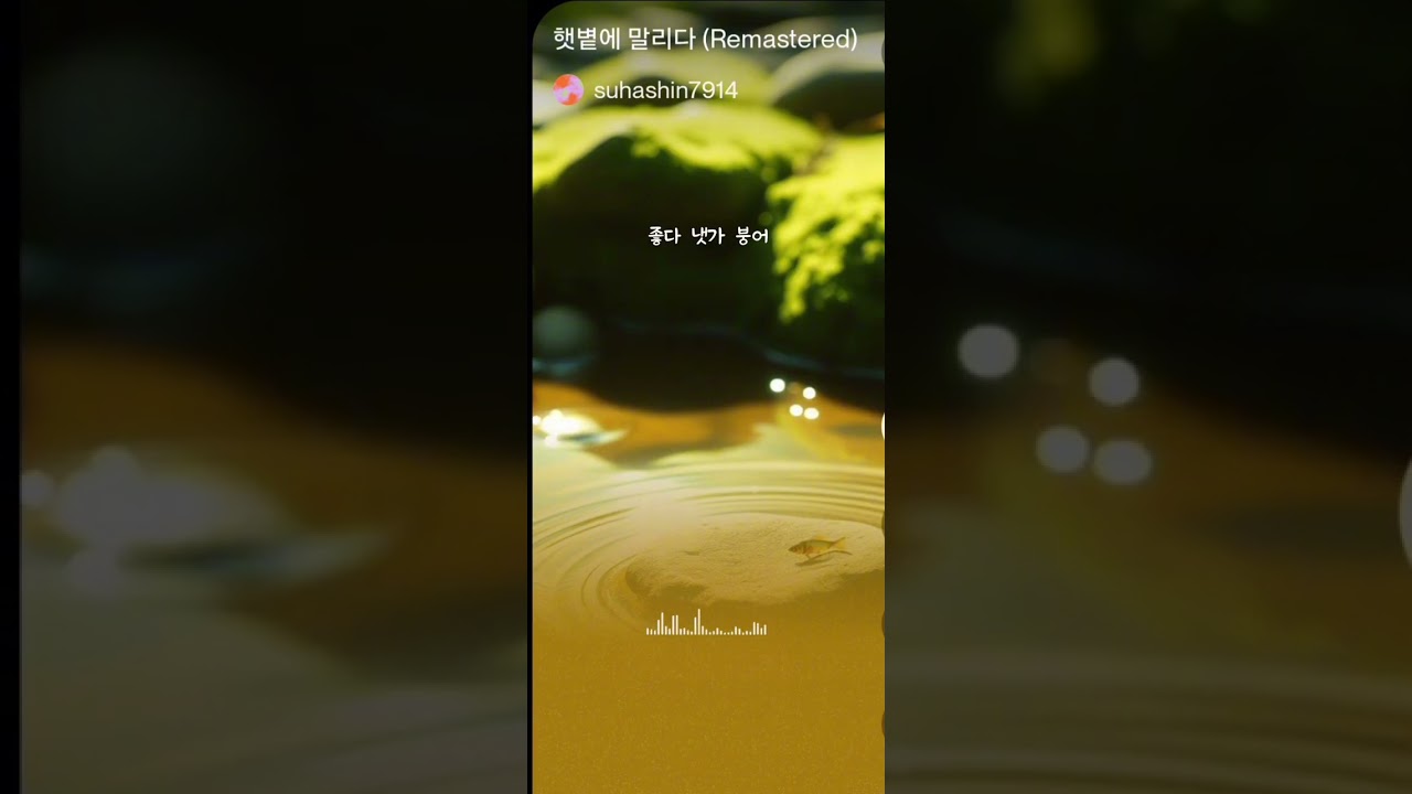 햇볕에 말리다L