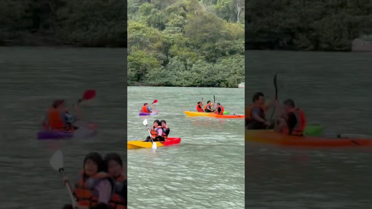 Have good time at forest island 