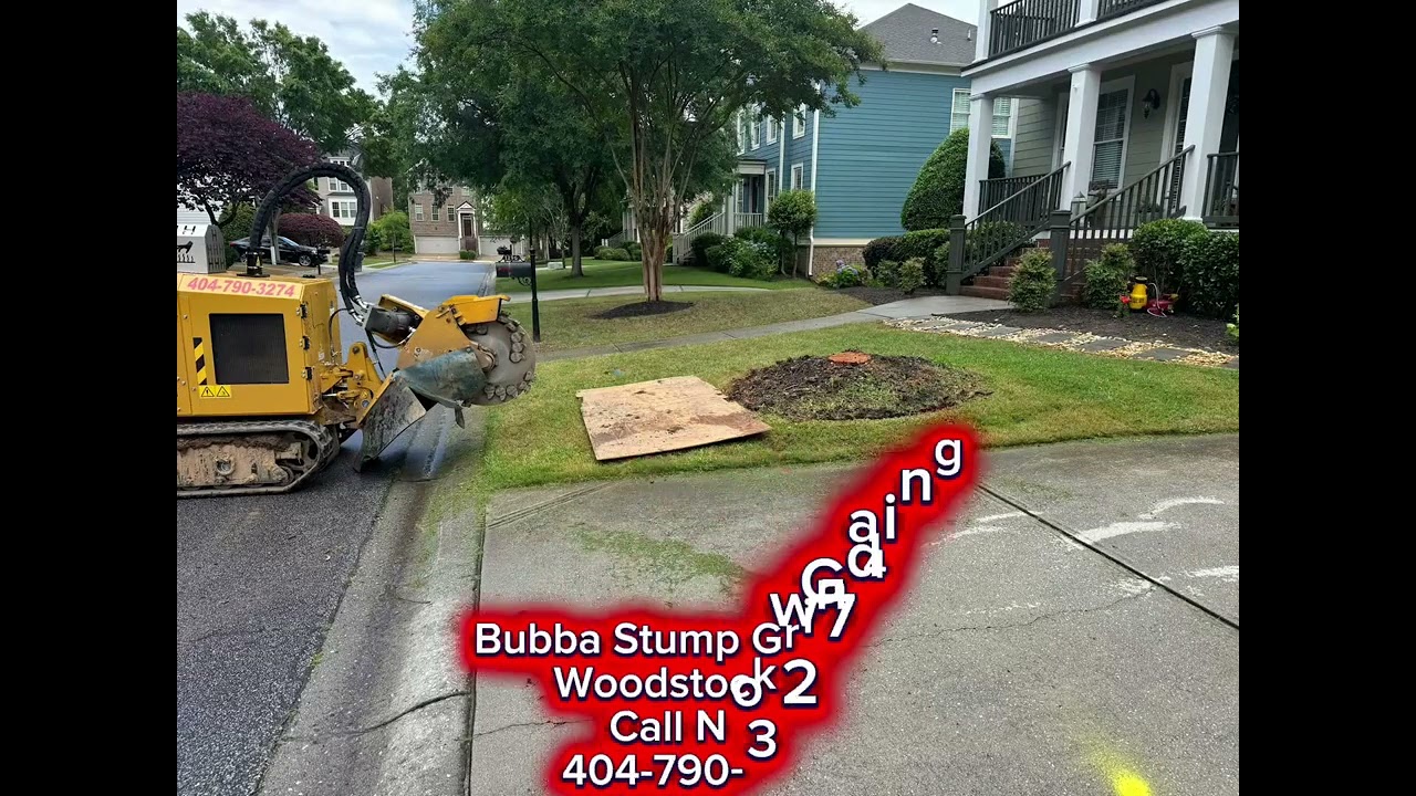 Bubba Stump Grinding Woodstock Ga