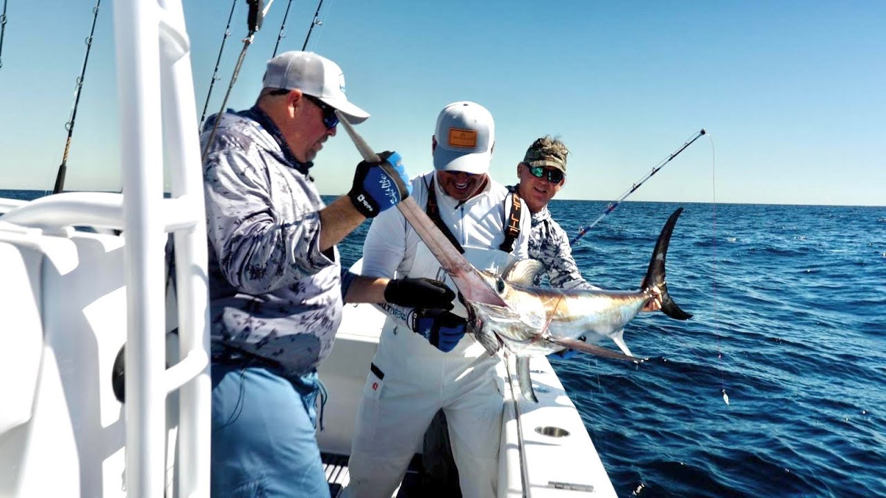 LIGHT TACKLE SWORDFISH AND THE IGFA AWARDS