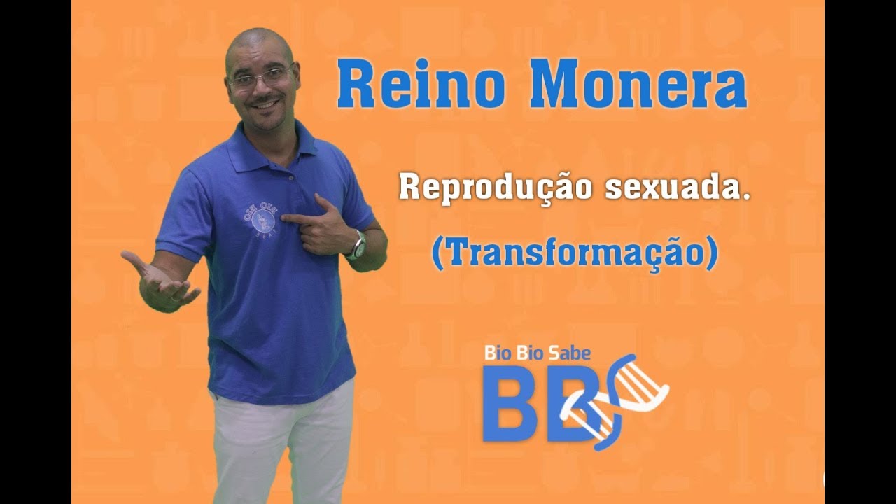 04 Bact&eacute;rias   Reprodu&ccedil;&atilde;o Sexuada Transforma&ccedil;&atilde;o