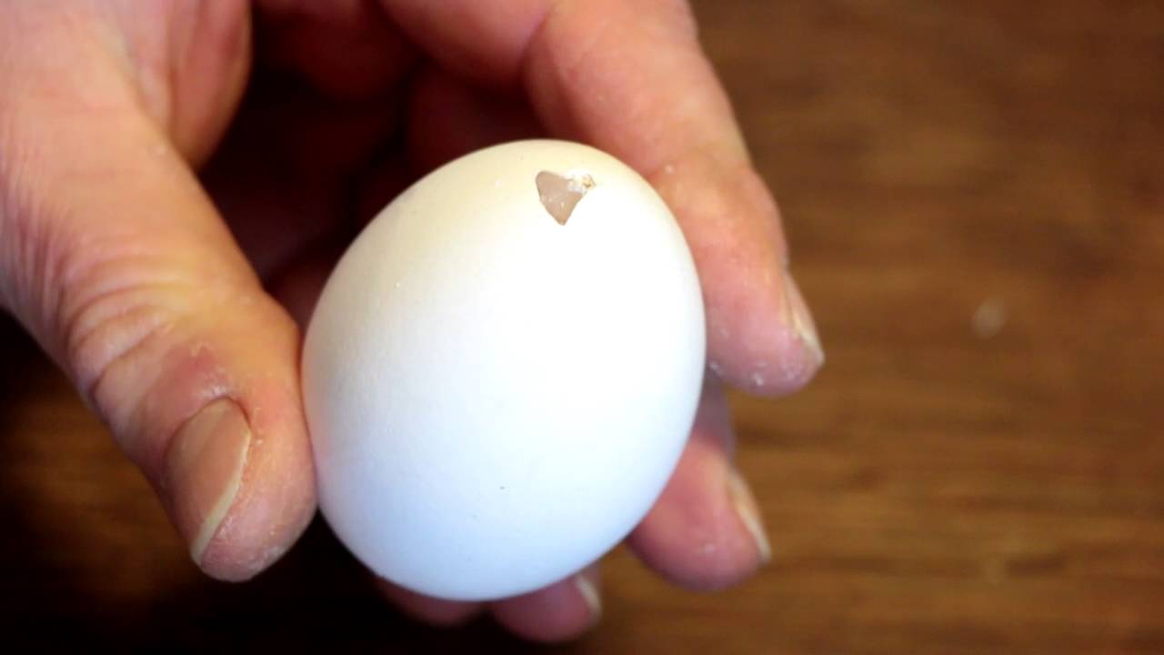 Eier - Ostereier ausblasen - traditionelle Methode mit Papa:)E