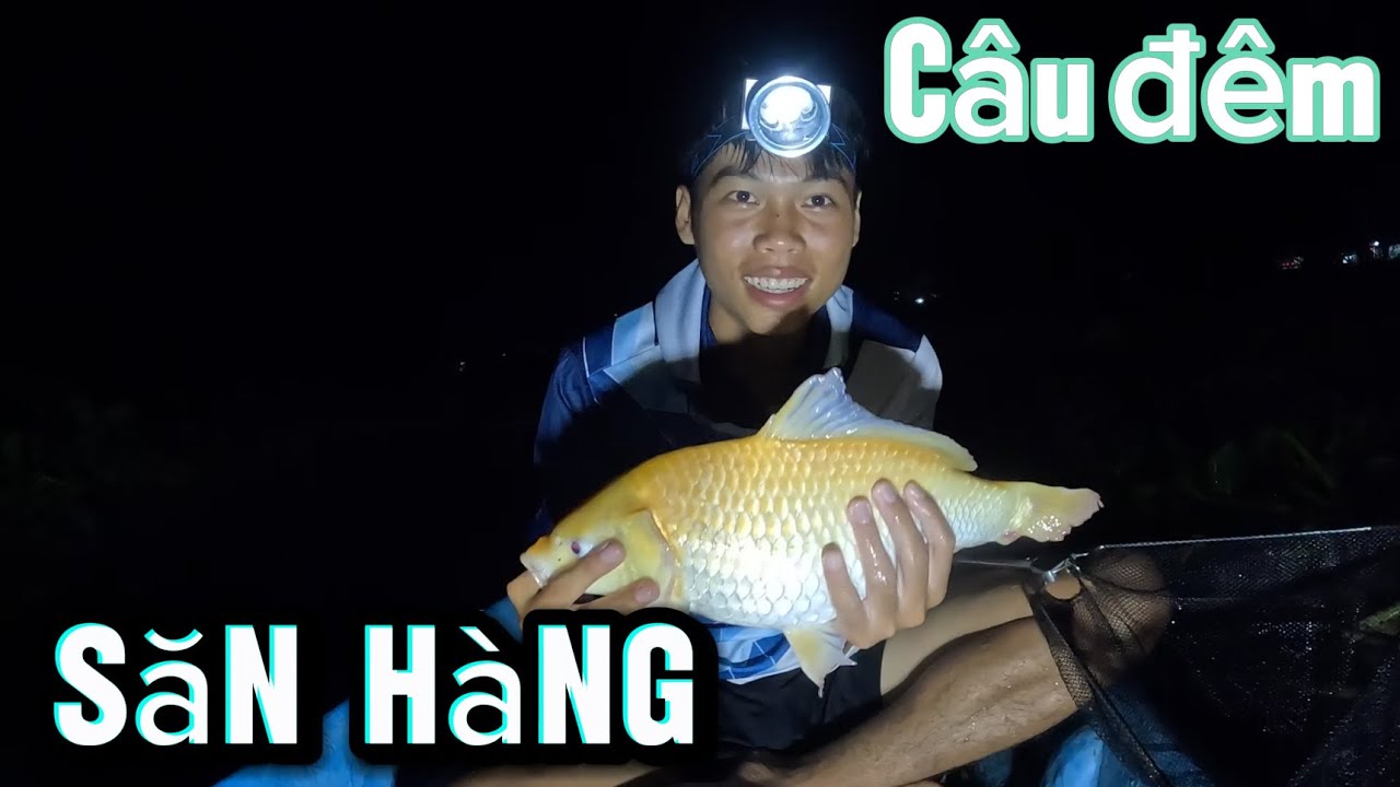 Hành trình săn cá trôi Khủng ở Búng Bình Thiên (Phần 2) 