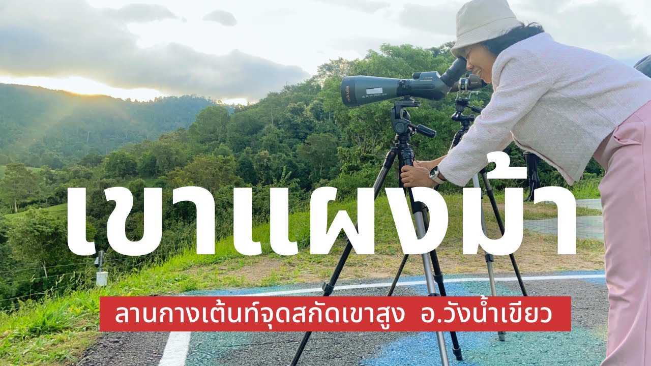 ส่องกระทิงเขาแผงม้า จุดสกัดเขาสูง กางเต้นท์อากาศเย็นสบาย รับแสงอาทิตย์ยามเช้า