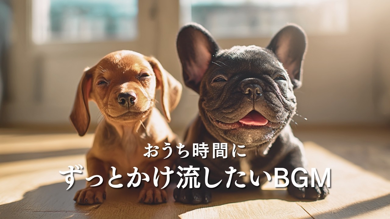 ずっと流していたい穏やかなBGM｜おうち時間のやさしいアコースティック