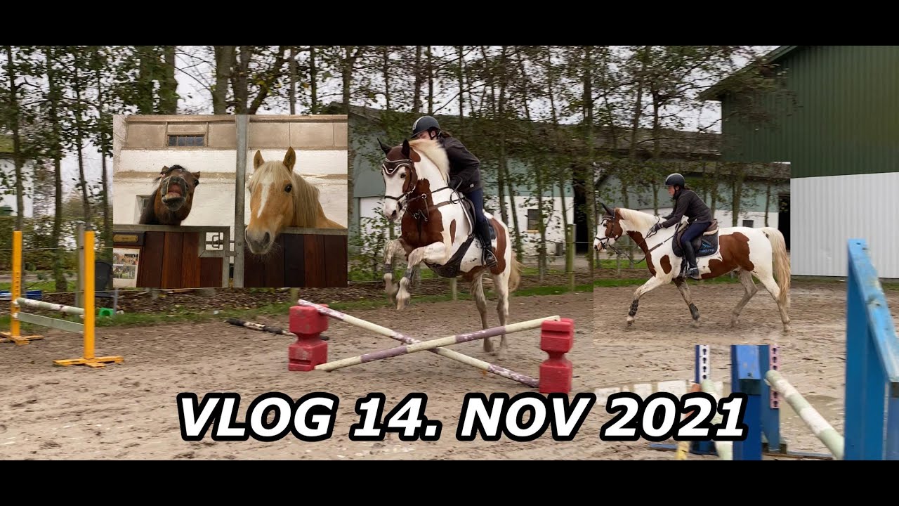 VLOG SØNDAG D. 14 NOVEMBER 2021 INKL. SPRINGTRÆNING MED WHAT A SPOT. IDA SKAFTE,