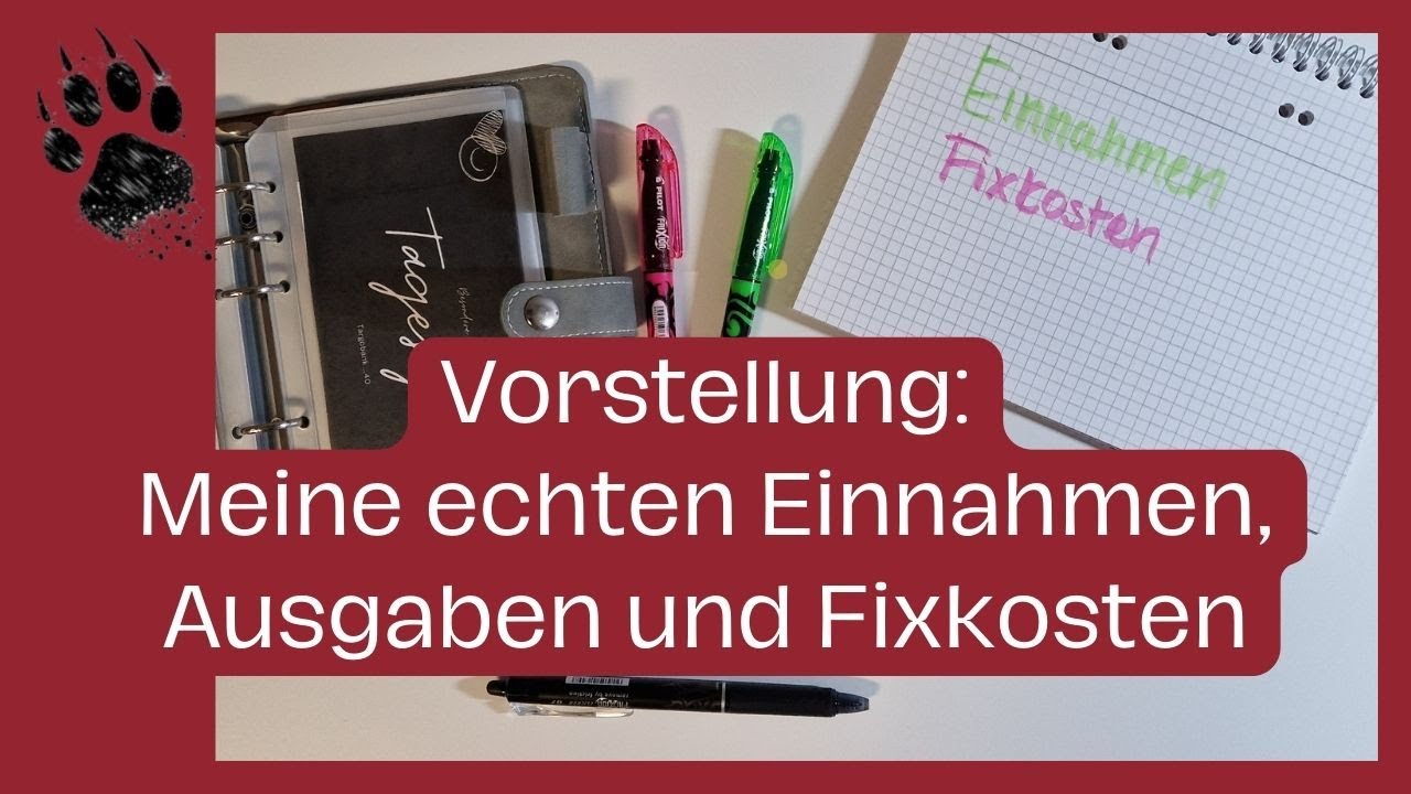 Meine echten Einnahmen 🧐 Ausgaben und Fixkosten Kredit 😱 | Umschlagmethode | Budget | Sparen