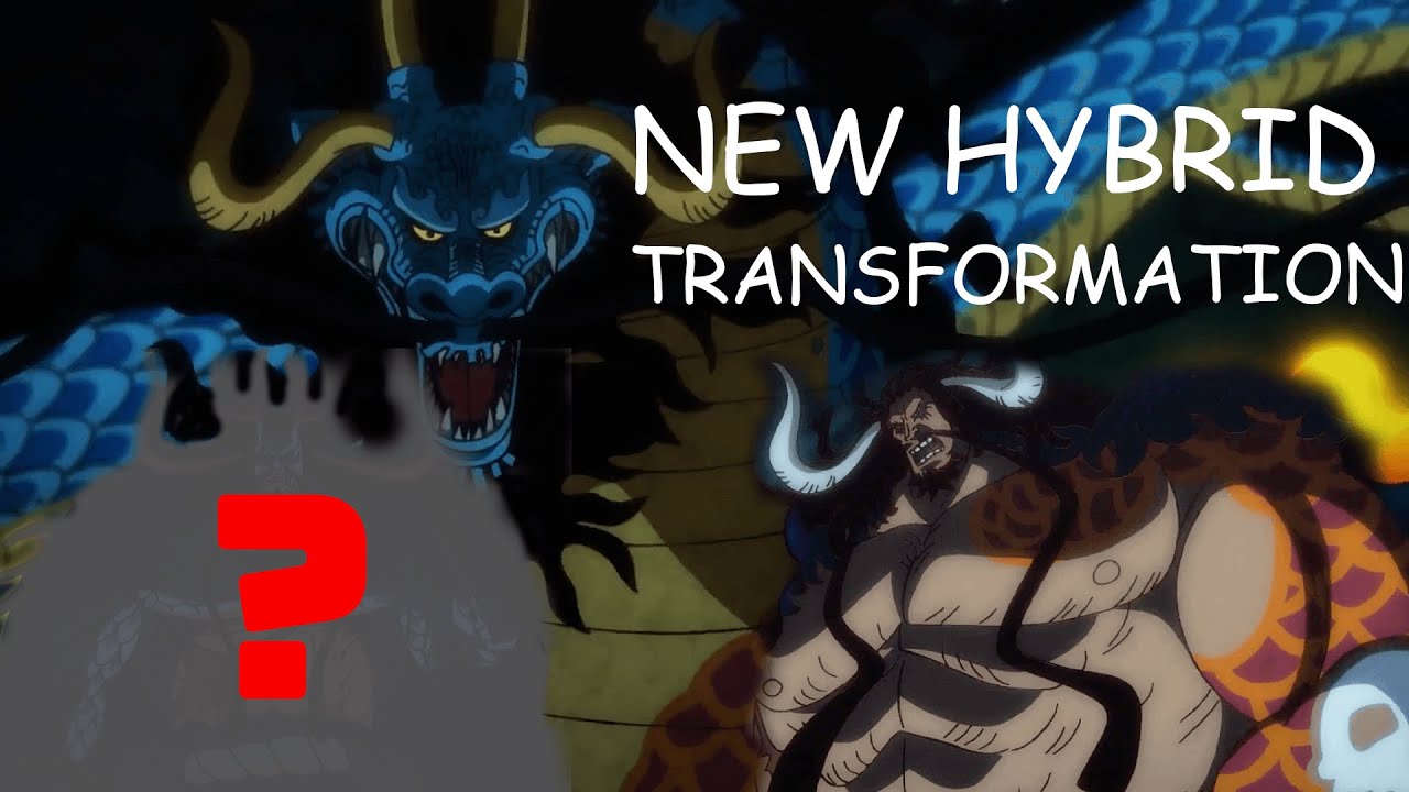 KAIDOS NEW MAN BEAST HYBRID FORM | EVERY TIME KAIDO TRANSFORMS IN ONE PIECE