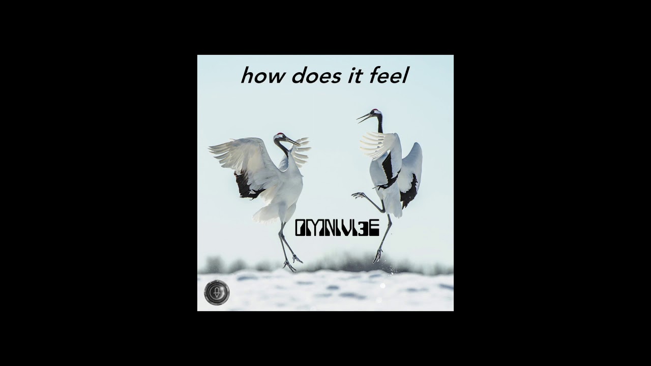 How Does It Feel (Audio) OMNIVI3E ft T Jae Cole OMNIVIBE